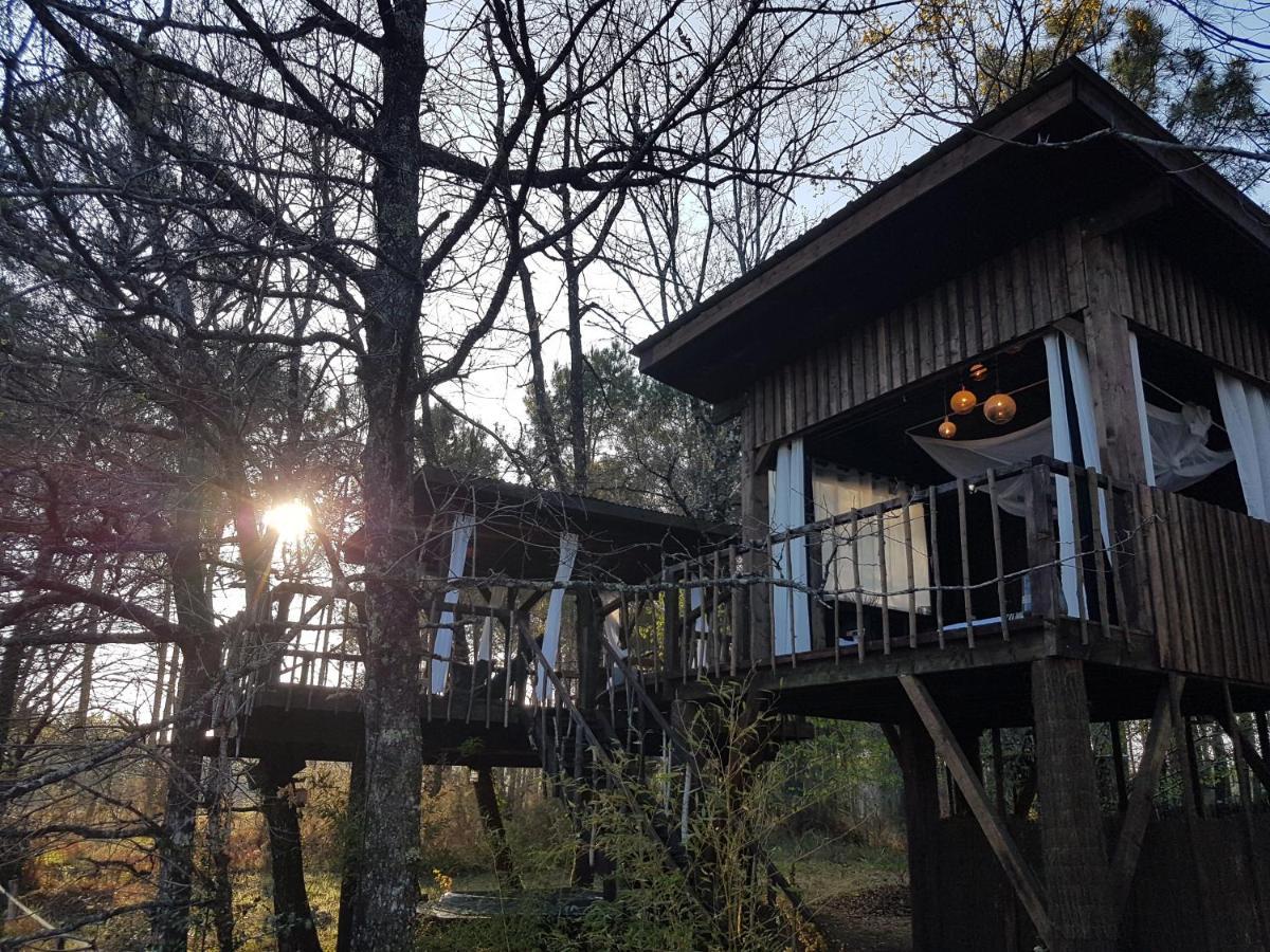 Bed and Breakfast Les Landines Origne  Exterior foto